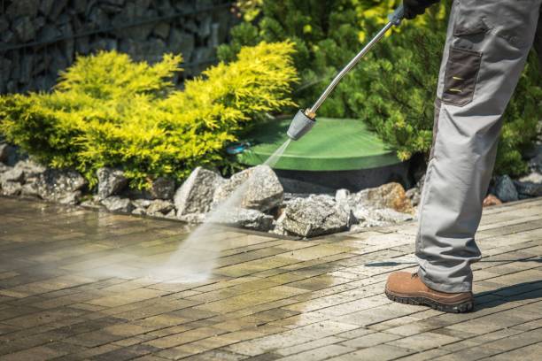 Best Gutter Cleaning and Brightening in Poquott, NY